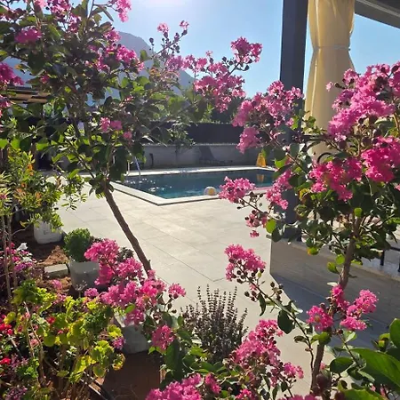 Villa Aşı Koyu Garden , Luxury With Secluded Private Pool Sarigerme Dalyan ıztuzu